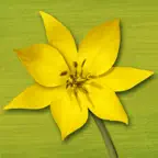 Wildflower Finder Switzerland iOS Icon