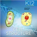 Biology Cell Structure iOS Icon