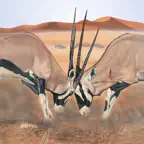 Mammals of the Southern African Subregion iOS Icon