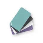 RAL Colours icon