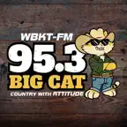 95.3 Big Cat Icon