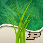 Purdue Turf Doctor icon