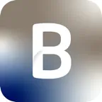 BIZ Icon