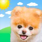 Boo Weather: Pomeranian Puppy iOS Icon