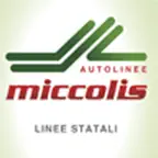 Miccolis Linee Extraurbane iOS Icon