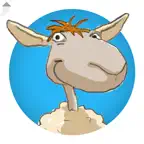 Body2Brain icon