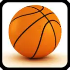 Basketball Mayhem iOS Icon
