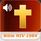 Bible NIV 1984 iOS Icon
