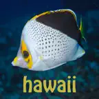 Scuba Fish Hawaii iOS Icon