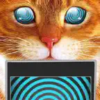 Hypnosis Trance Cat Simulator Icon