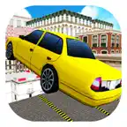 Sky Car Parking Mania iOS Icon