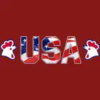 USA Fried Chicken & Pizza iOS Icon