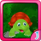 Tortoise Box Escape iOS Icon