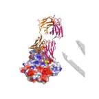 HIV Antibody Database iOS Icon