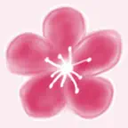 Tacoma Japantown Walking Tour iOS Icon