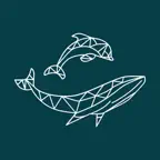 Whale Track iOS Icon
