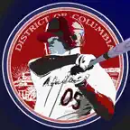 Washington Baseball Nationals Edition iOS Icon