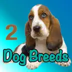 Dog Breeds of the World iOS Icon