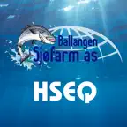 Ballangen HSEQ iOS Icon