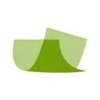 Expense icon