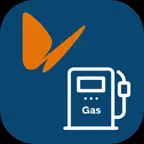 Naturgy:GNV iOS Icon