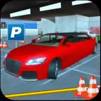 Limo Multistory Parking iOS Icon