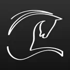 ePalatine Entreprises Icon