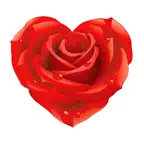Live flowers for the holiday iOS Icon