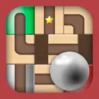 Unblock the ball - Slide game iOS Icon
