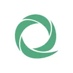 Cleversite Icon