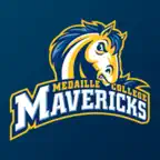 Medaille Mavericks iOS Icon