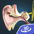 The mechanism of hearing 3D iOS Icon
