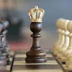 Chess Master - Ultimate guide iOS Icon