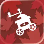 Кофемашина Icon