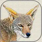 Canvas Art - Photo Filter iOS Icon