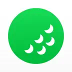 Chronogolf by Lightspeed Icon