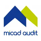 Micad Audit Icon