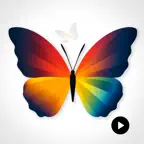 Watercolor Birds Stickers iOS Icon