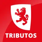 Zaragoza Tributos iOS Icon