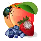 MyIPM iOS Icon