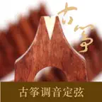 GuZheng Tuner - Pitch iOS Icon