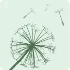 靜觀心禱 iOS Icon