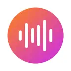 TopMusic.net icon