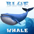 Blue Whale Simulator Mind Game iOS Icon