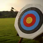 Archery Targets Super Hit iOS Icon