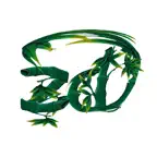 竹海之舟 iOS Icon