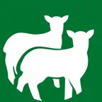 Regulin iOS Icon