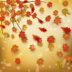 The Autumn Leaves Stickers iOS Icon