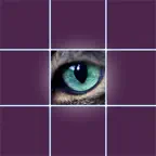 Eyes Test Animals iOS Icon