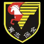 賓志保全 iOS Icon